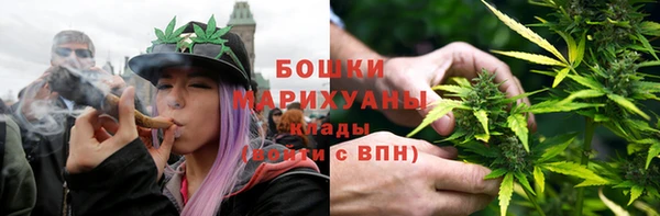 мдпв Козловка