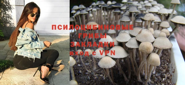 мдпв Козловка