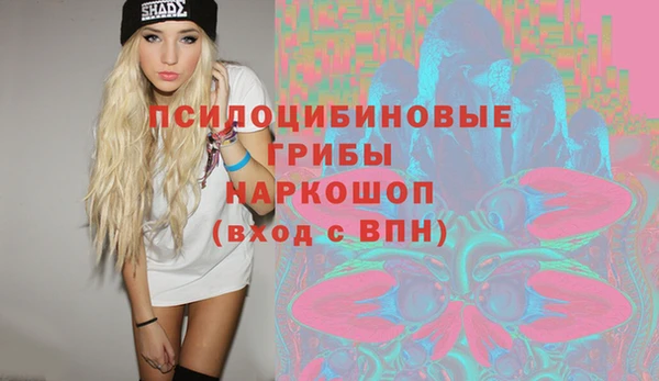 мдпв Козловка