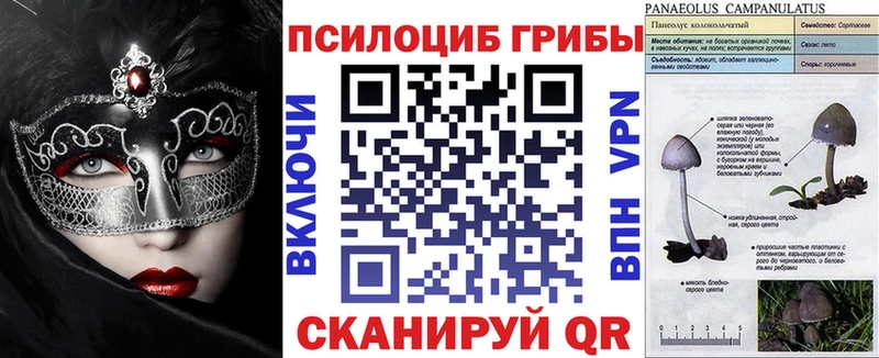 Купить где  Вытегра  Галлюциногенные грибы MAGIC MUSHROOMS 